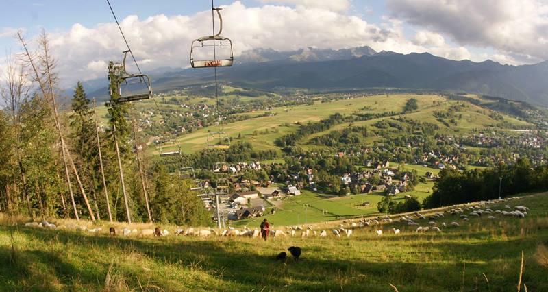 Ferienwohnung Pokoje U Zoskip Zakopane Exterior foto